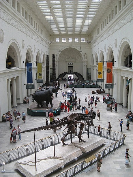 field-museum-5