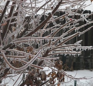 ChristmasEveIce ChristmasEveIce