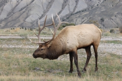 Colorful-Colorado-Nature-KH08