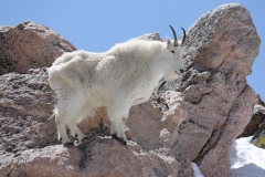 Colorful-Colorado-Nature-KH14